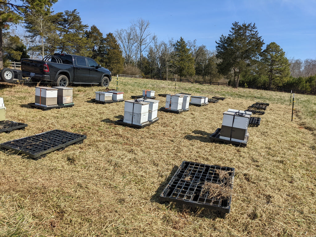 Tryon International Equestrian Center Apiary